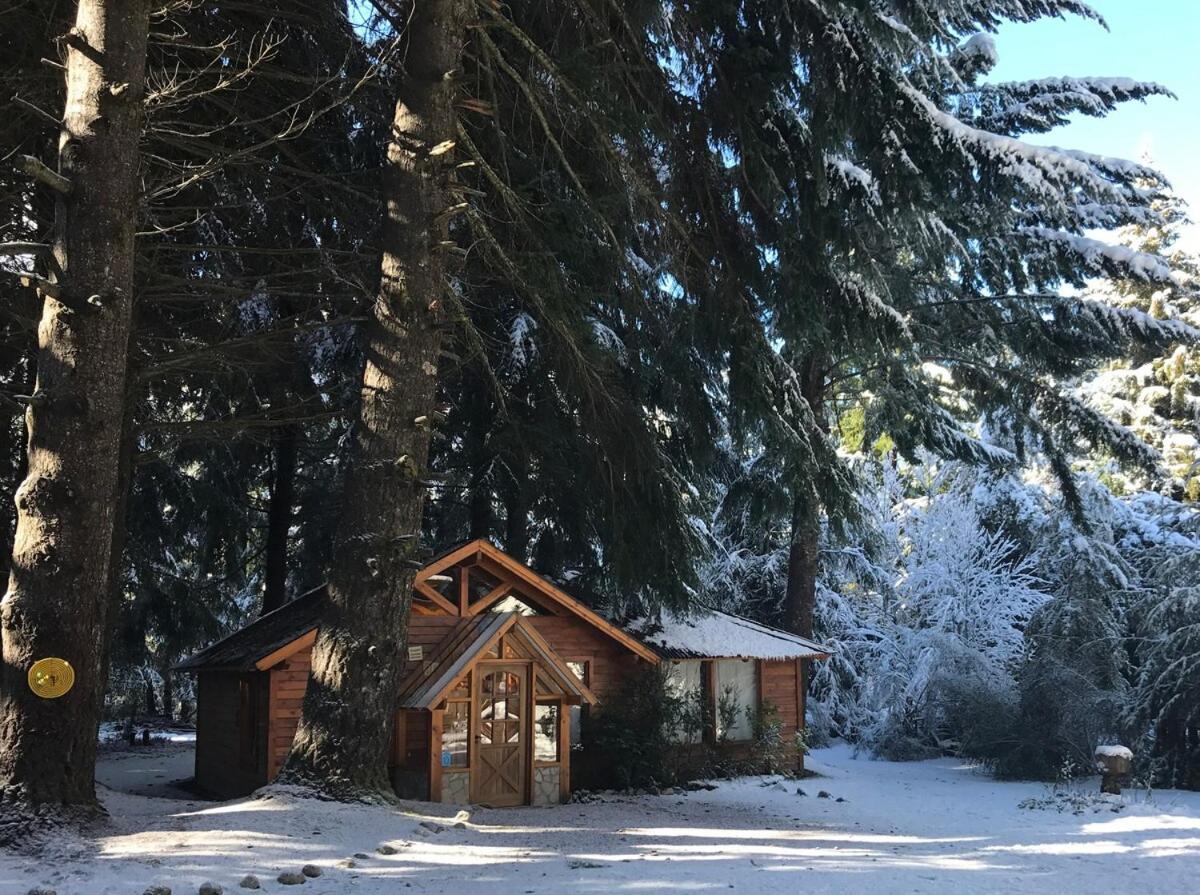 Dos Lunas Villa La Angostura Luaran gambar
